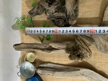 【17】流木色々セット　箱売り　素材　DIY アクアリウム　飾り　置物　おしゃれ_画像7
