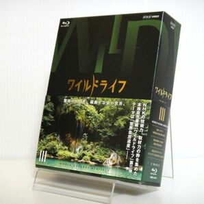 Blu-ray「ワイルドライフ ブルーレイBOXⅢ」WILD LIFE 3