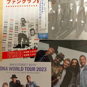 Backstreet Boys バックストリート・ボーイズ CD クリアファイル セット