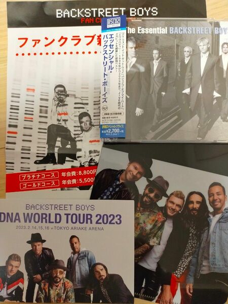 Backstreet Boys バックストリート・ボーイズ CD クリアファイル セット