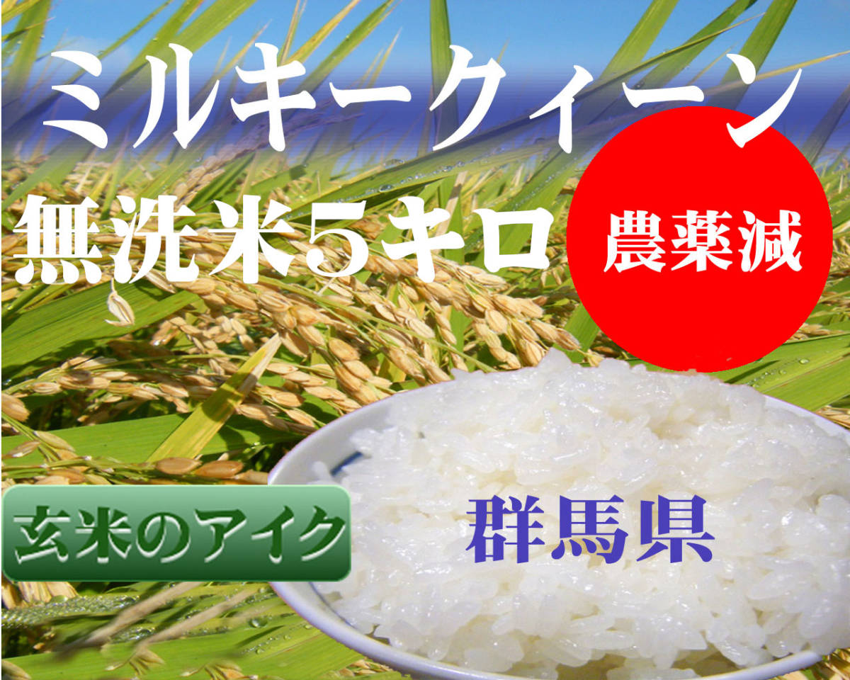 おしゃれ】新米ミルキークイーン 酵素米 お米 玄米10ｋｇ「無洗米に精米」 米