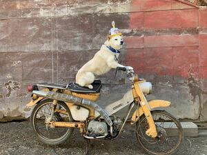 1968 Honda CT50 Hunter Cub Yellow Kick OK Fudo Kakunosato Inspection C50 C100 Cub