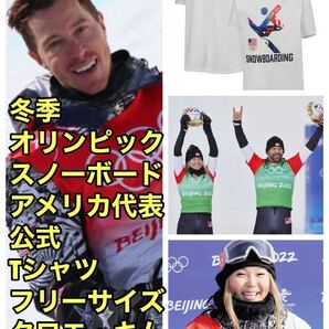 アメリカ代表スノーボードUSAピクトグラム半袖Tシャツ日本未発売ショーン・ホワイト正規品クロエ・キムSnowboarding冬季オリンピック五輪