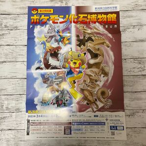 ポケモン 化石博物館 ポスター