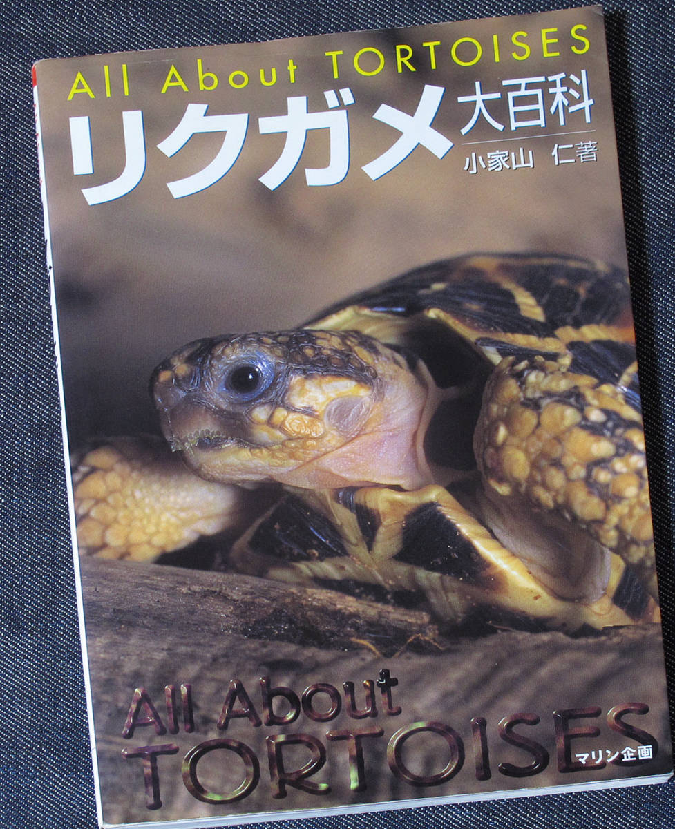 ヤフオク! -リクガメ ケージの中古品・新品・未使用品一覧