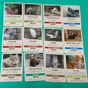 大阪市営地下鉄 天王寺動物園100周年記念 どうぶつコレクションカード 12種 キタジマキーウィ チュウゴクオオカミ ジャガー スナドリネコ他