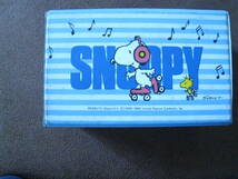 ■当時物 SNOOPY　スヌーピー カセットテープケース　レトロ　ボックス　小物入れ　ピーナッツ　昭和レトロ◆中古◆_画像1