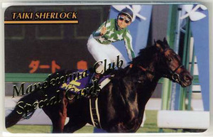 ★まねき馬カード SP 178番 タイキシャーロック スペシャルカード 開封 写真 画像 競馬カード 即決