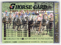 ★サニーブライアン プロモカード 第64回日本ダービー 日刊スポーツ Gホースカード 97 AUTUMN 非売品 大西直宏 写真 画像 競馬カード 即決_画像2