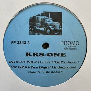 KRS-ONE DIGITAL UNDERGROUND SHOCK-G INTRO/CYBER TEETH TIGERS