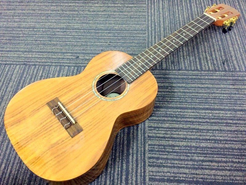 アコースティックギター　DCT D-721 SP 楽器/器材 アコースティックギター
