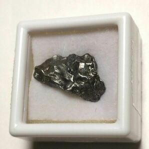 カンポ・デル・シエロ　隕石　アルゼンチン　1576年