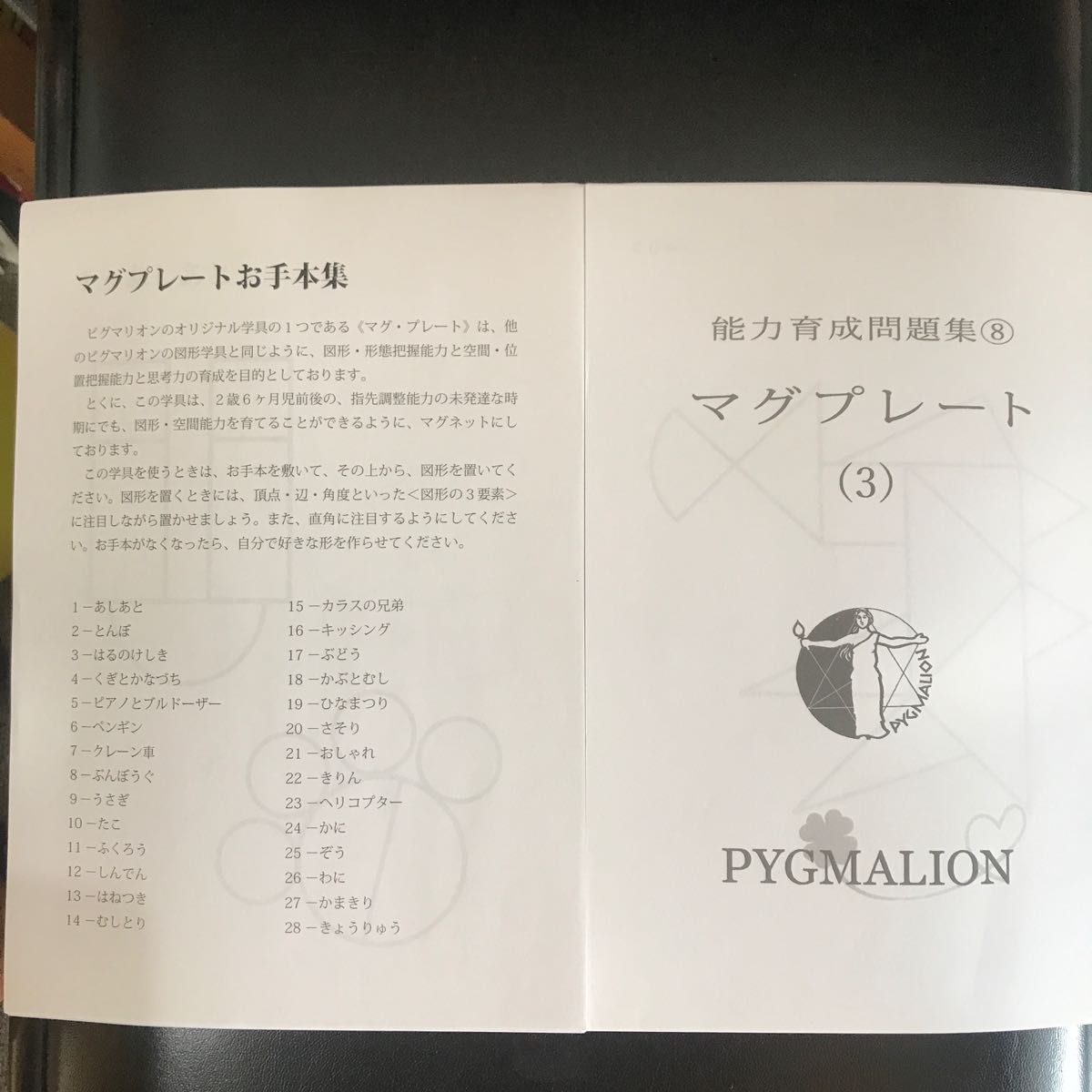 ピグマリオン 第４グレード｜PayPayフリマ