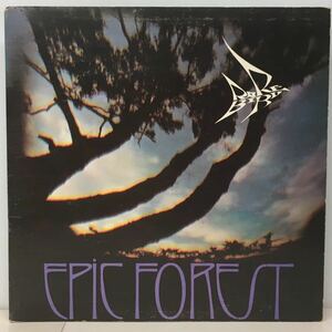 PROG/RARE BIRD/ EPIC FOREST (LP) UK ORIGINAL 7 インチ付き (g215) 