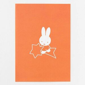 ミッフィー miffy ポストカード（star） GREEN FLASH