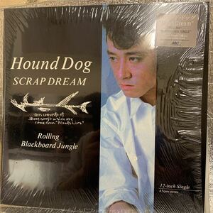 12インチ 美品 HOUND DOG ハウンドドッグ Scrap Dream 大友康平