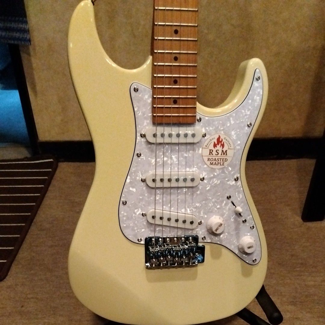 Taylor GS Mini (美品・保証書・説明書付) 楽器、器材 ギター airteam.dk