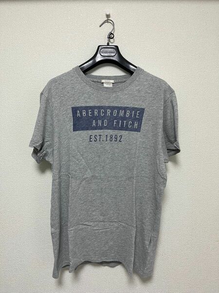 【特別特価早い者勝ち】Abercrombie & Fitch A&F アバクロンビー&フィッチ 半袖Tシャツ Lサイズ