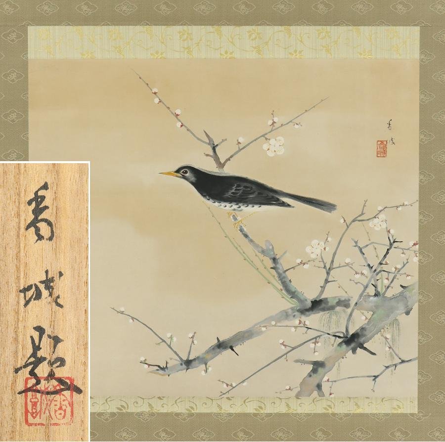 [Authentic work] ◆ Kajo Asami ◆ Hayayagui ◆ White plum blossoms ◆ Spring ◆ Same box ◆ Handwritten ◆ Paperback ◆ Hanging scroll ◆ r628, painting, Japanese painting, flowers and birds, birds and beasts