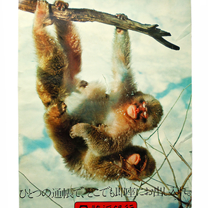 ●【昭和レトロ】スルガ銀行 B1 ポスター ● 駿河銀行 ● 田中一光 仲條正義 横尾忠則 亀倉雄策 永井一正 村上隆 現代美術 資生堂 猿 大正