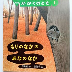 かがくのとも（ もりのなかのあなのなか）