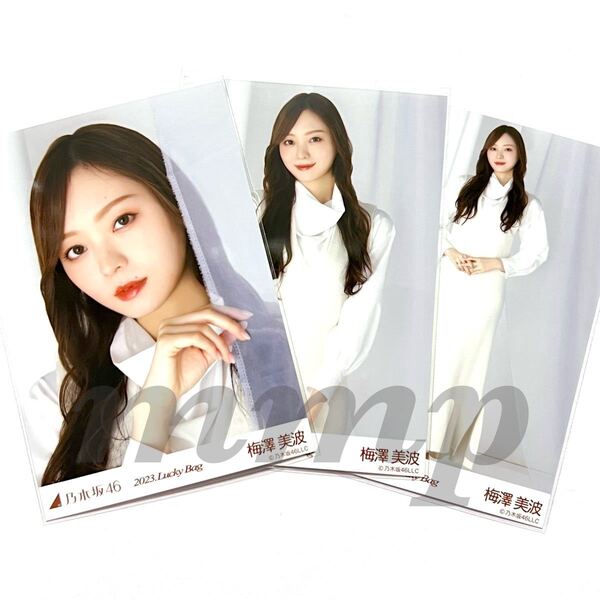 《乃木坂46》公式グッズ 生写真 3枚 コンプ 梅澤美波 2023 luckybag 福袋 カレンダー衣装 ヨリチュウヒキ レア B