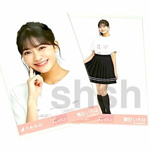 《乃木坂46》公式グッズ 生写真 奥田いろは 2枚 セミコンプ　2023 11thbdライブTシャツ 5期Tシャツ 5期生　会場限定 ヨリヒキ