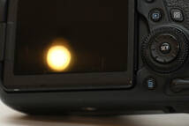 キヤノン　Canon EOS6D Mk2 _画像6