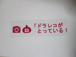 カッティングステッカー　『ドラレコがとっている！』　ピンク色　抜き文字タイプ