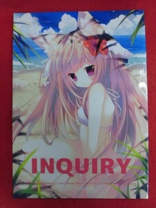 R057 イラスト集同人誌 INQUIRY PRACTICE/猫茶畑 p-19/おーじ茶 2013年★同梱5冊までは送料200円