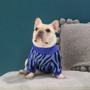 【Lサイズ】ゼブラ柄 スエード ハイネック フレンチブルドッグ パグ ブルー 秋冬 犬服 ドッグウェア Zebra Turtleneck Sweater