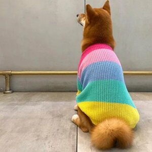 【Sサイズ】スプリング レインボー ニット セーター フレブル パグ パステルカラー 犬服 ドッグウェア ペット用品 Spring Rainbow Knit