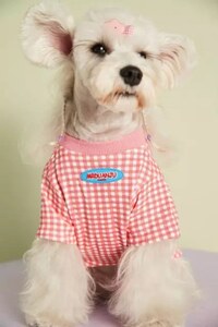 【XLサイズ】ギンガムチェック パステル Tシャツ ピンク 春夏 犬服 ドッグウェア ペット用品 Checkered Pastel Tshirt