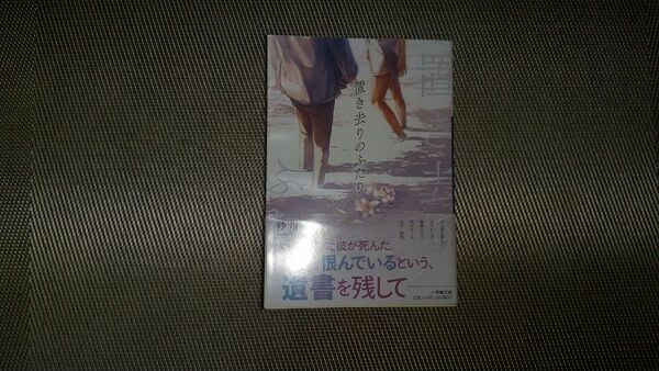 置き去りのふたり （小学館文庫　す１７－１） 砂川雨路／著