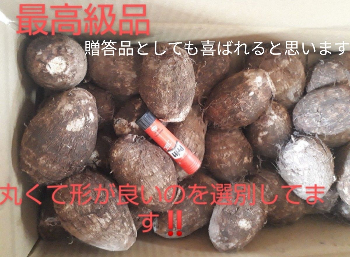 専用 丸くて柔らかい孫芋だけ!里芋 L~2Lサイズ混合!19.8キロ箱込み