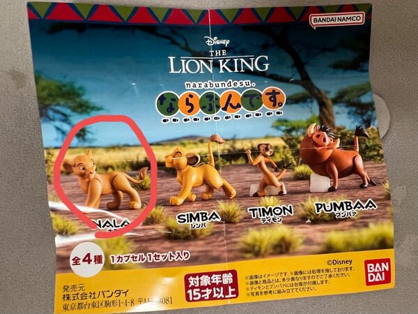 Disney LION KINGならぶんです。 