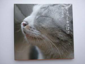  a bit cat .. rock . light . Shogakukan Inc. photoalbum 