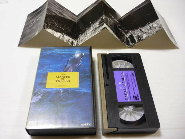 [管01]【送料無料】VHS ビデオ 巨鯨 MASTER OF THE SEA ドキュメンタリー ホエール・ウォッチングクラブ