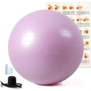  exercise ball 55cm light red purple fitness ball 