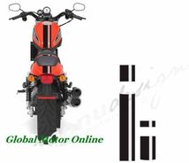 グラフィック デカール ステッカー 車体用 / ハーレーダビッドソン HARLEY DAVIDSON XR1200 / ストラ_画像1