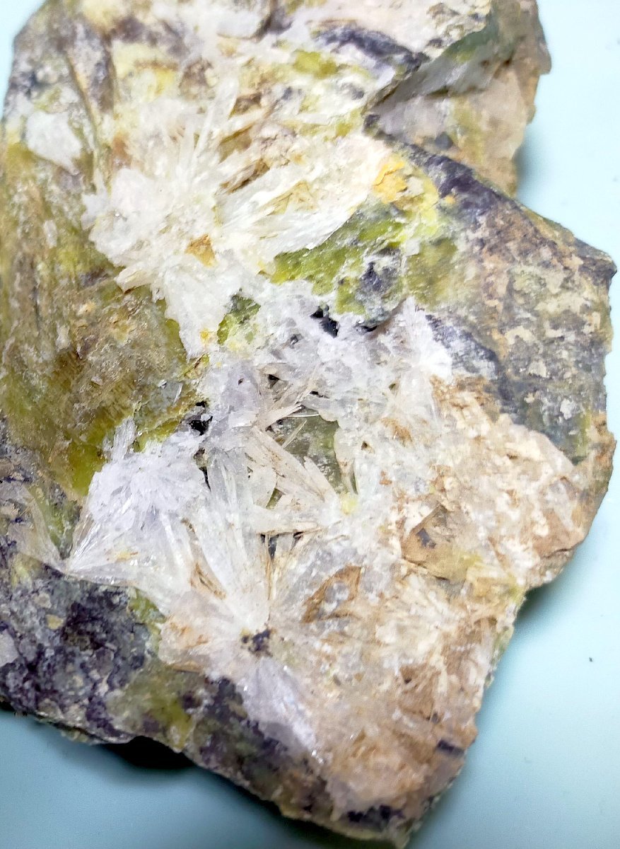 製品 母岩の色が超希少!勾玉の金蛇石(蛇紋石)の置物 biocheck.cl