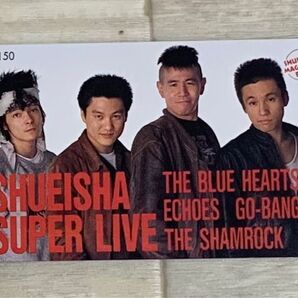 未使用 THE BULE HEARTS 50度 カード 甲本ヒロト 真島真利 ハイロウズ クロマニヨンズ ブルーハーツ