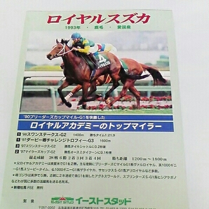 ロイヤルスズカ 種牡馬パンフレット イーストスタッド 送料込み