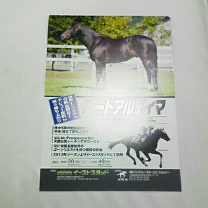 ロードアルティマ 種牡馬パンフレット 送料込み イーストスタッド