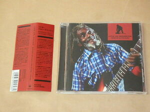 オリジナル・ヒューストン・ブルース・ギター・ブラスター　/　 リトル・ジョー・ワシントン（Little Joe Washington）/　CD　/　帯付き