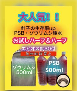 光合成細菌 PSB ゾウリムシ 種水 エビオス錠 説明書付 エサ めだか 針子