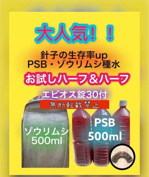 光合成細菌 PSB ゾウリムシ 種水 エビオス錠 説明書付 エサ めだか 針子