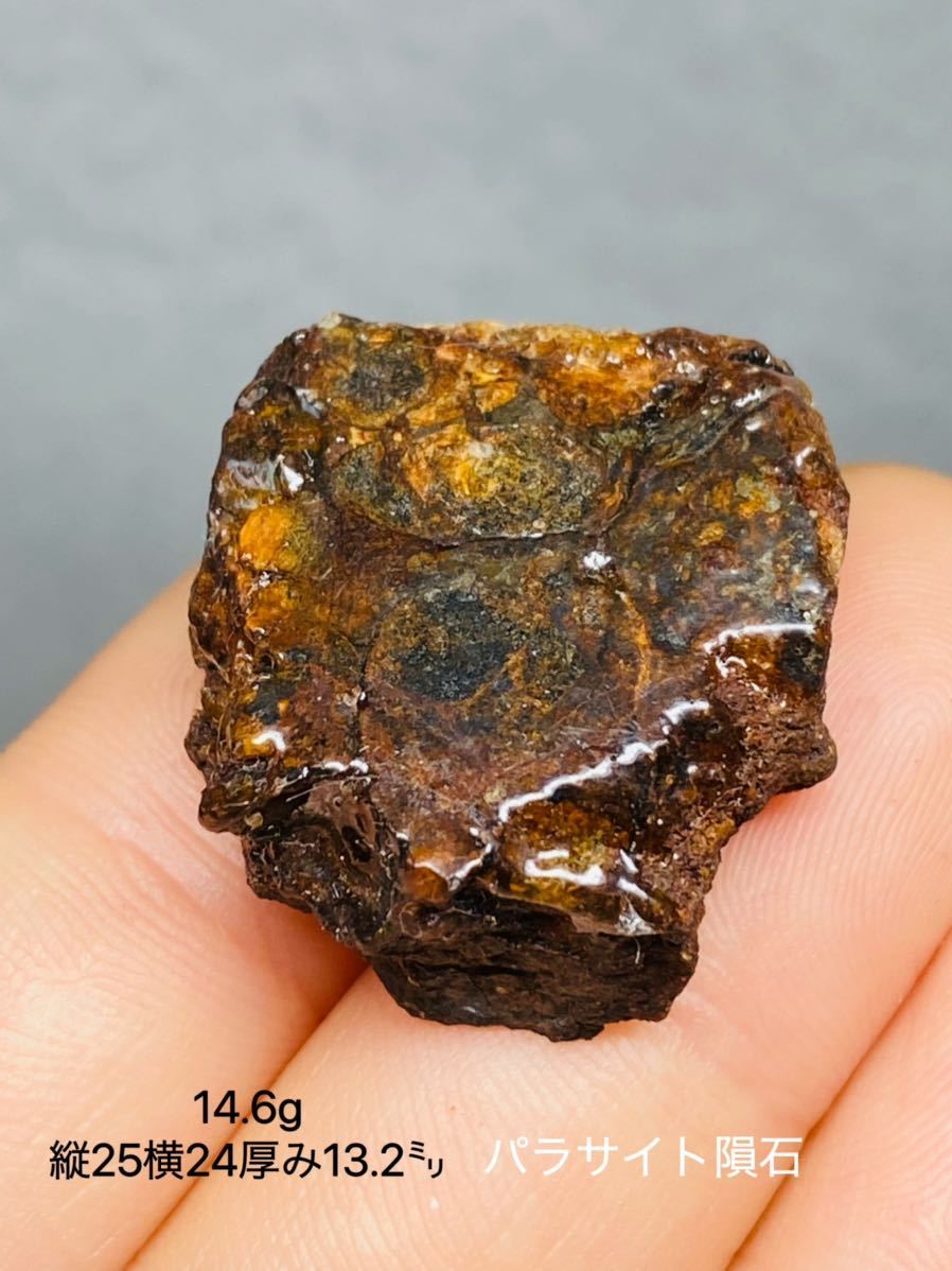 鑑別書付き パラサイト隕石 345g かんらん石綺麗 セリコ隕石 最高品質 