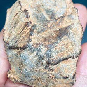 ゲベルカミル隕石 215g 隕石 鉄隕石 アタキサイト Gebel Kamil 落下地エジプト 隕石鉄隕石 メテオライト 鉄隕石 隕石 原石
