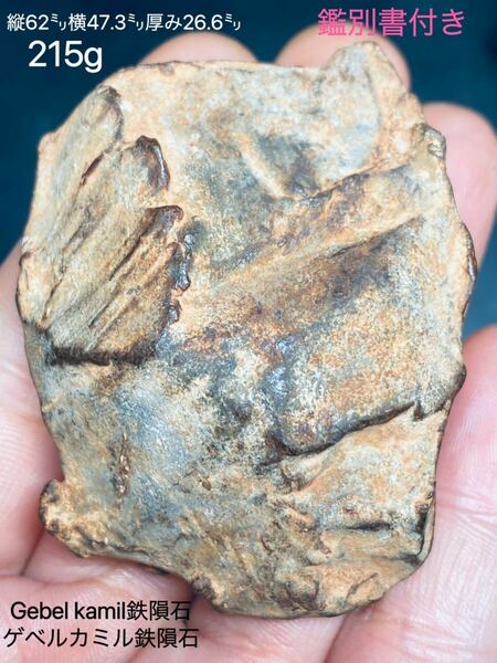 ゲベルカミル隕石 215g 隕石 鉄隕石 アタキサイト Gebel Kamil 落下地エジプト 隕石鉄隕石 メテオライト 鉄隕石 隕石 原石
